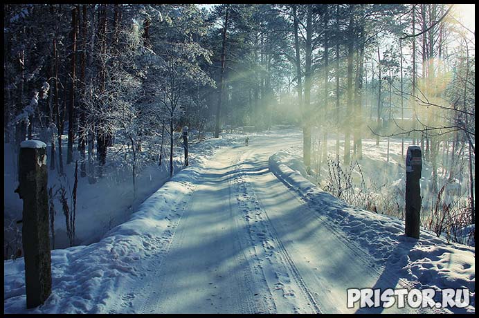 Красивые фото зимней природы, зима - красивые фото природы 9