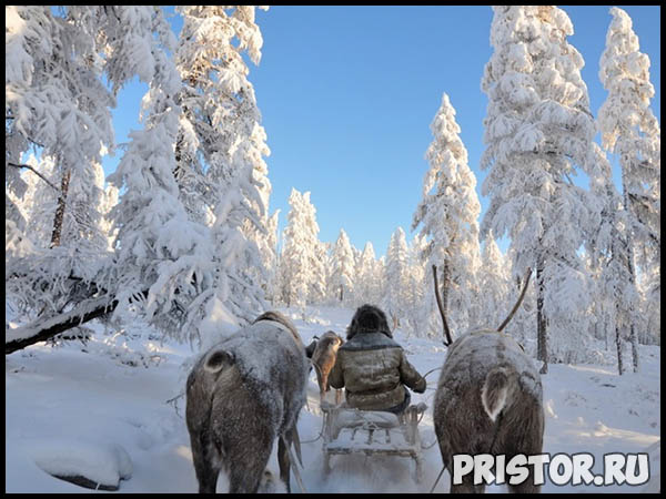 Красивые фото природы России, фото - пейзажи природы России