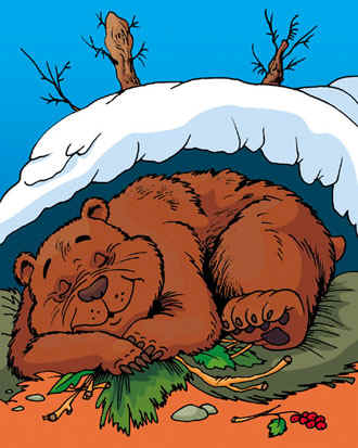 Медведь в берлоге картинки для детей - красивые и прикольные 1