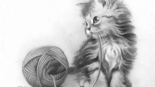 Рисунок кошки карандашом - прикольные и красивые картинки 9