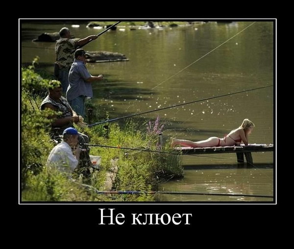 Смешные и прикольные картинки про рыбалку - смотреть бесплатно 6