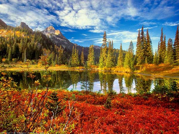 Картинки осень природа, красивые фото осени природа 15