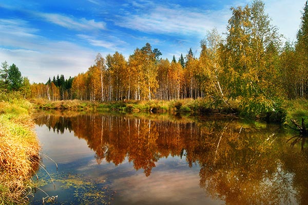 Картинки осень природа, красивые фото осени природа 16