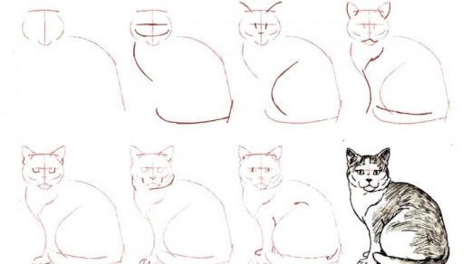 Как нарисовать котенка поэтапно карандашом - смотреть с фото 7