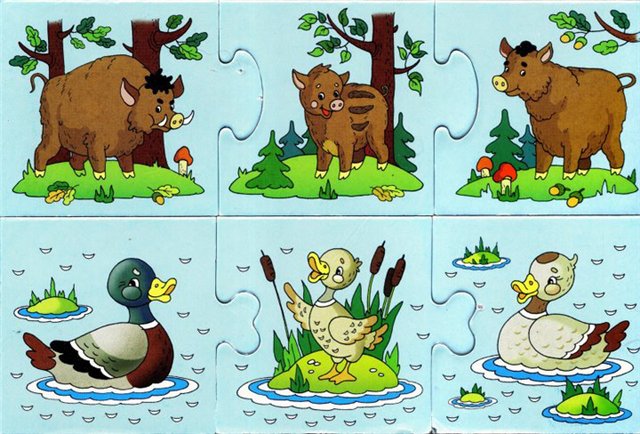 Картинки домашних животных для детского сада - красивые и прикольные 5