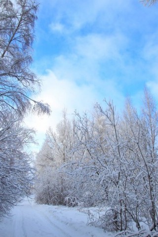 Картинки зима на телефон - красивые и прикольные скачать бесплатно 15