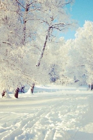 Картинки зима на телефон - красивые и прикольные скачать бесплатно 3