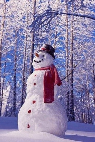 Картинки зима на телефон - красивые и прикольные скачать бесплатно 6