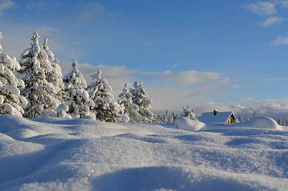 Очень красивые картинки зима природа, фото природы зимы - смотреть 5