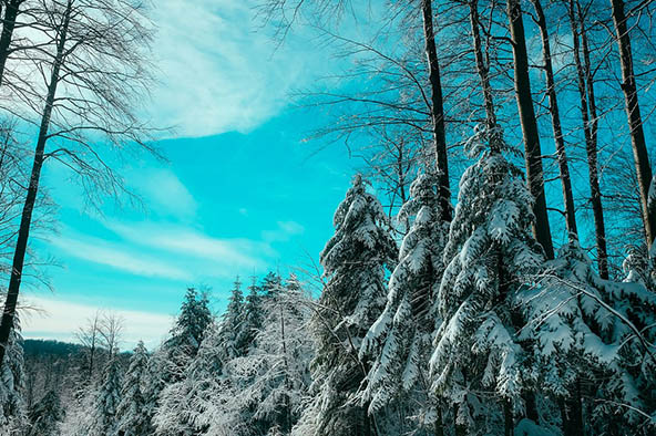 Очень красивые картинки зима природа, фото природы зимы - смотреть 7