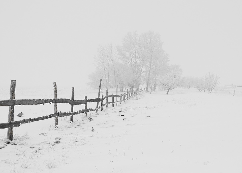 Природа зимы - картинки красивые, зимняя природа картинки 13