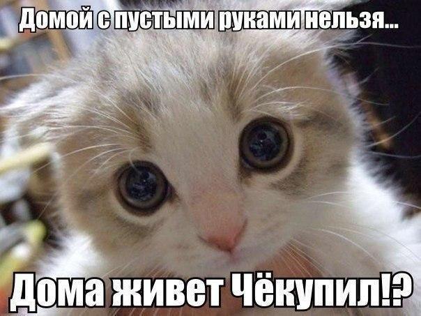 Привет май картинки с надписями на русском