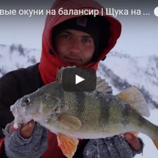 Зимняя рыбалка 2017 новинки видео - смотреть бесплатно, лучшая подборка