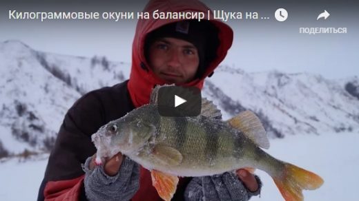 Зимняя рыбалка 2017 новинки видео - смотреть бесплатно, лучшая подборка