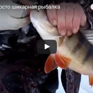 Зимняя рыбалка 2017 - смотреть видео, интересные, прикольные