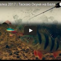 Рыбалка зимой 2017 - видео смотреть бесплатно, прикольные, интересные