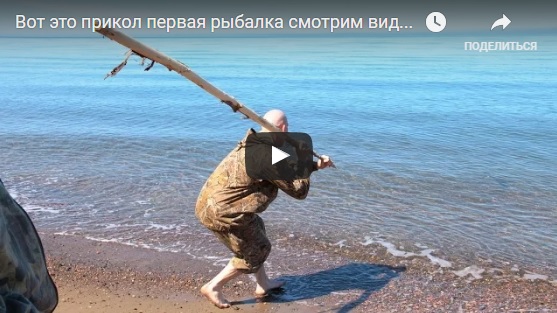 весёлые видео про рыбалку