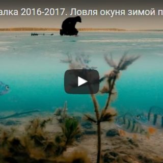 Удивительная и интересная рыбалка - видео смотреть бесплатно