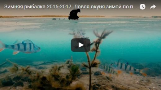 Удивительная и интересная рыбалка - видео смотреть бесплатно