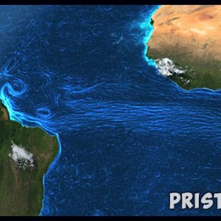 Средняя глубина Мирового океана - ответы, описание, фото 2