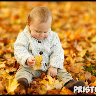 Как одеть малыша на прогулку осенью в детский сад 1
