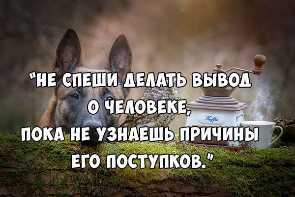 Пор пока не была выведена. Грустные цитаты про дружбу. Грустные цитаты про друзей. Грустные цитаты про дружбу со смыслом. Грустные фразы про друзей.