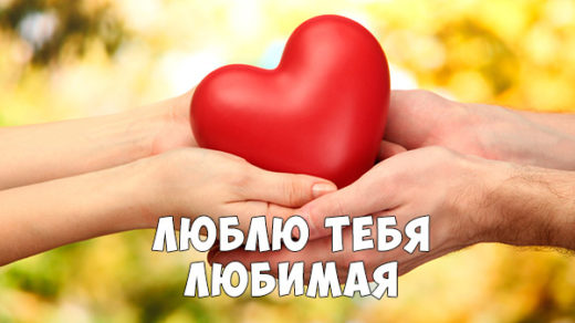 Красивые картинки - Я тебя люблю любимая, скачать, смотреть бесплатно 1