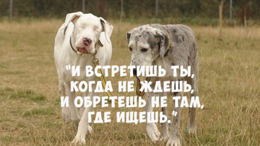 Прикольные и красивые статусы про друзей - читать бесплатно 11