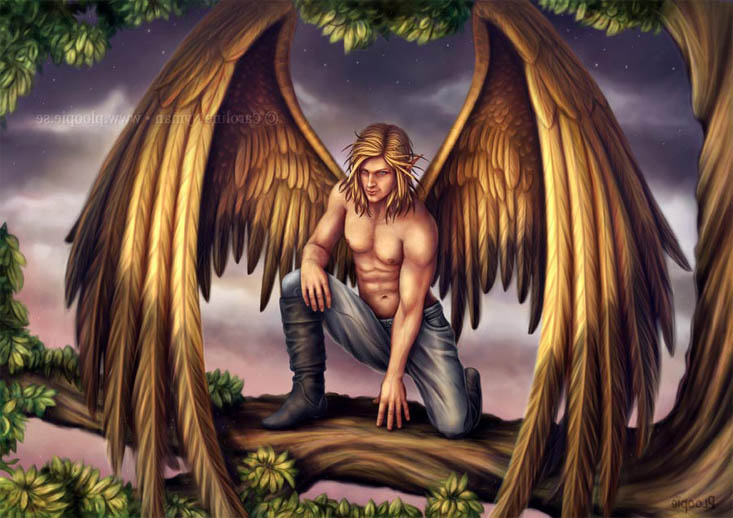 Картинки ангелов с крыльями - красивые, прикольные, интересные 2