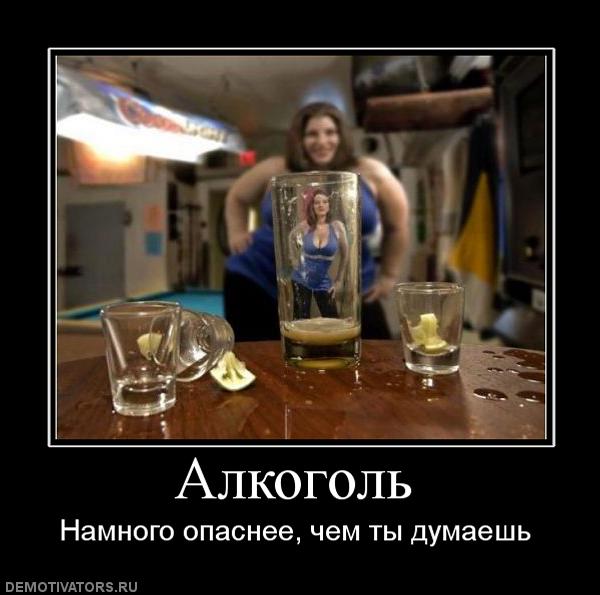 Смешные демотиваторы про алкоголь - смотреть бесплатно, 2017 7