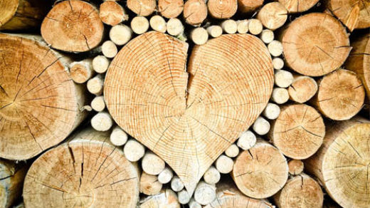 Как защитить древесину от гниения, влаги, разрушения - рекомендации 1