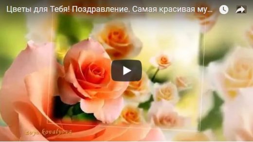 Видео поздравления с цветами День Рождения - скачать бесплатно