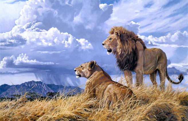 Красивые картинки львов и львиц - удивительные, прикольные и крутые 1