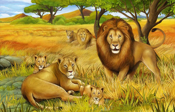 Красивые картинки львов и львиц - удивительные, прикольные и крутые 4