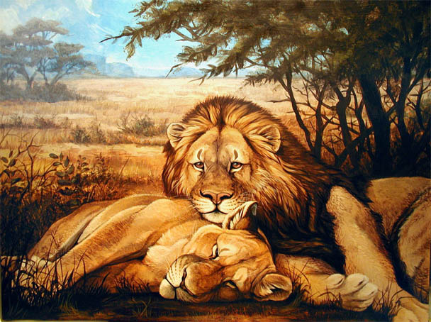 Красивые картинки львов и львиц - удивительные, прикольные и крутые 8