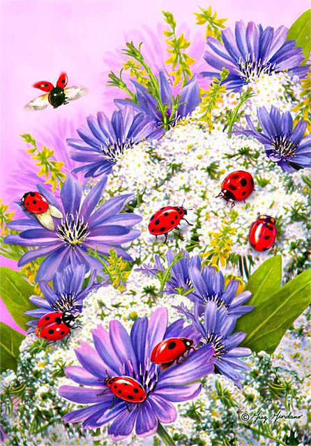 Красивые нарисованные картинки цветов - удивительные и красочные 4