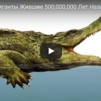 Животные-Гиганты, которые жили на Земле 500 млн. лет назад - видео