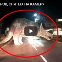 Интересное видео про 10 динозавров, которые были сняты на камеру