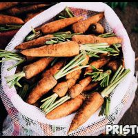 Как выращивать морковь в открытом грунте - основные советы и уход 4
