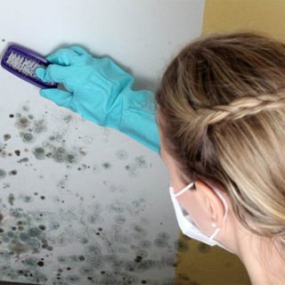 Как избавиться от грибка на стенах в домашних условиях - лучшие способы 2