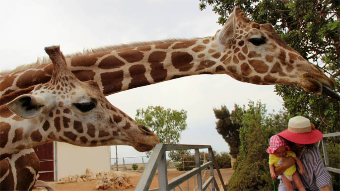 Позитивные и прикольные фото из зоопарка - смотреть бесплатно 19