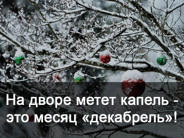 Прикольный декабрь. Шутки про декабрь. Статусы про декабрь. Декабрьские шутки. Анекдот про декабрь.