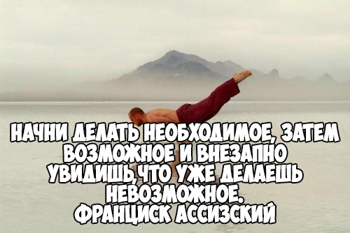 Нельзя быть для всех пушистой растащат на воротники картинка