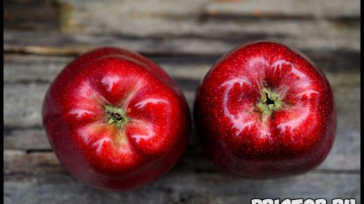 Как выбрать правильное яблоко и хранить их - основные рекомендации 2