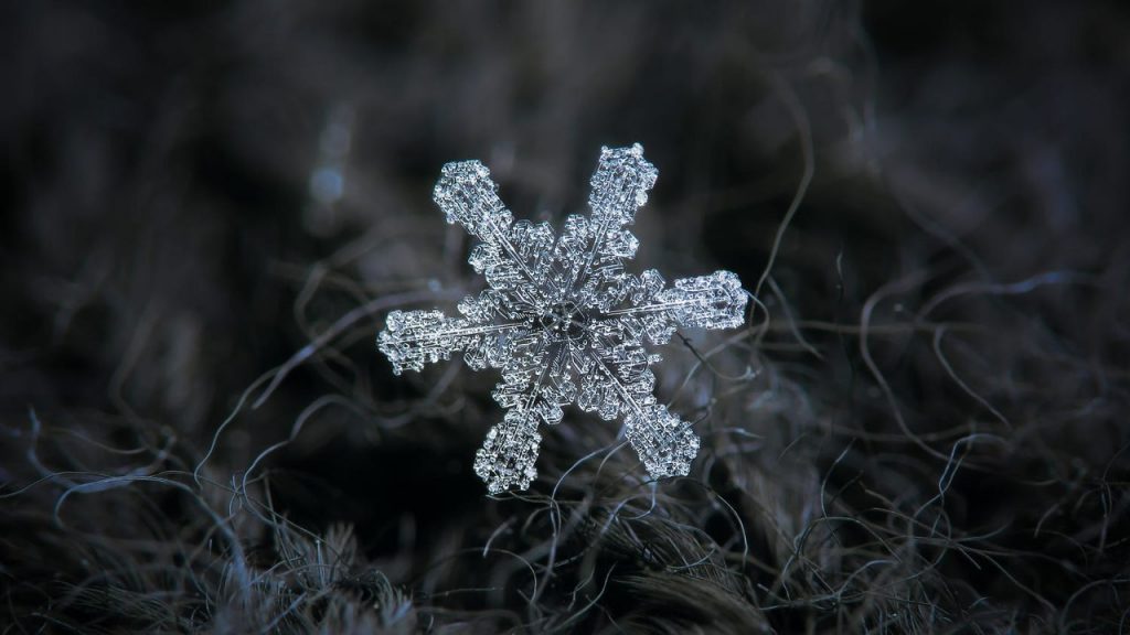 Макрофотография снежинок - самые удивительные и невероятные фото 10