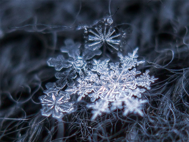 Макрофотография снежинок - самые удивительные и невероятные фото 2