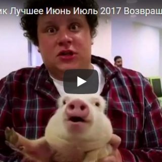 Смешные и веселые подборки видео с Евгением Куликом - 2017