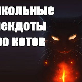 Смешные и прикольные анекдоты про котов и кошек - подборка №59 заставка