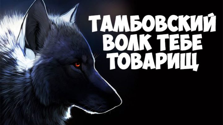 Тамбовский волк тебе товарищ картинки