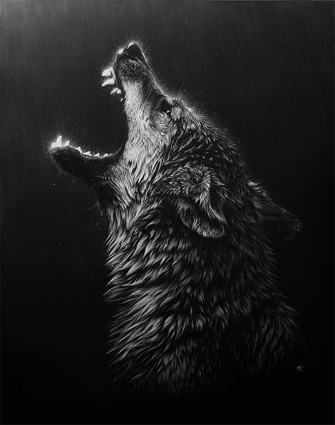 Красивые и прикольные картинки волка на аватарку - скачать бесплатно 12
